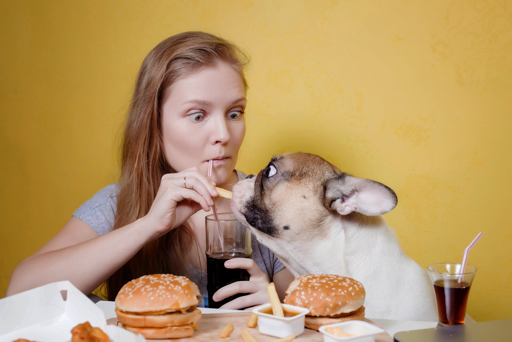 Czego nie może jeść pies – które ludzkie przysmaki mogą być niebezpieczne a nawet toksyczne dla psów?