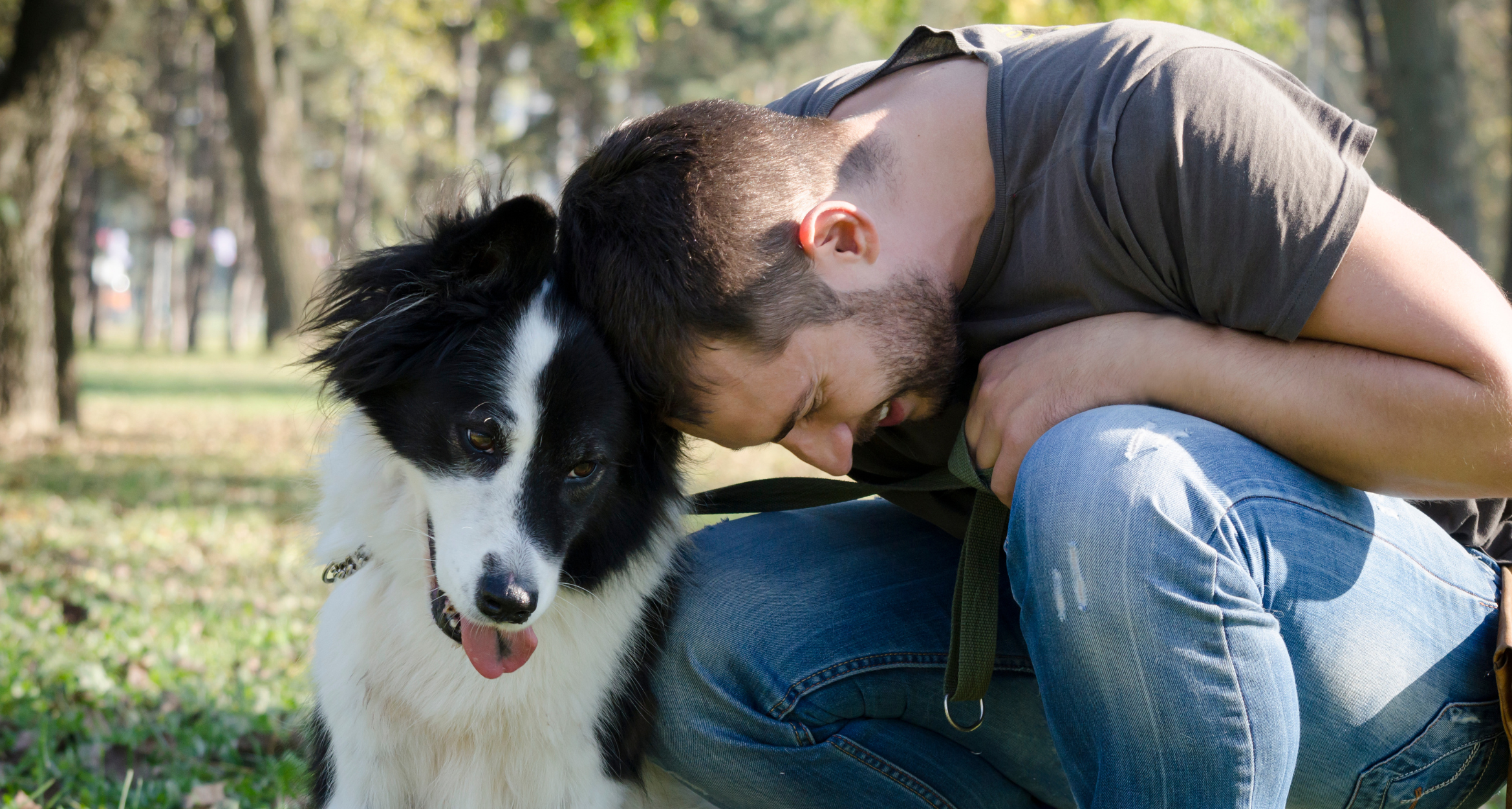 Jak witaminy wpływają na regenerację stawów Twojego psa?