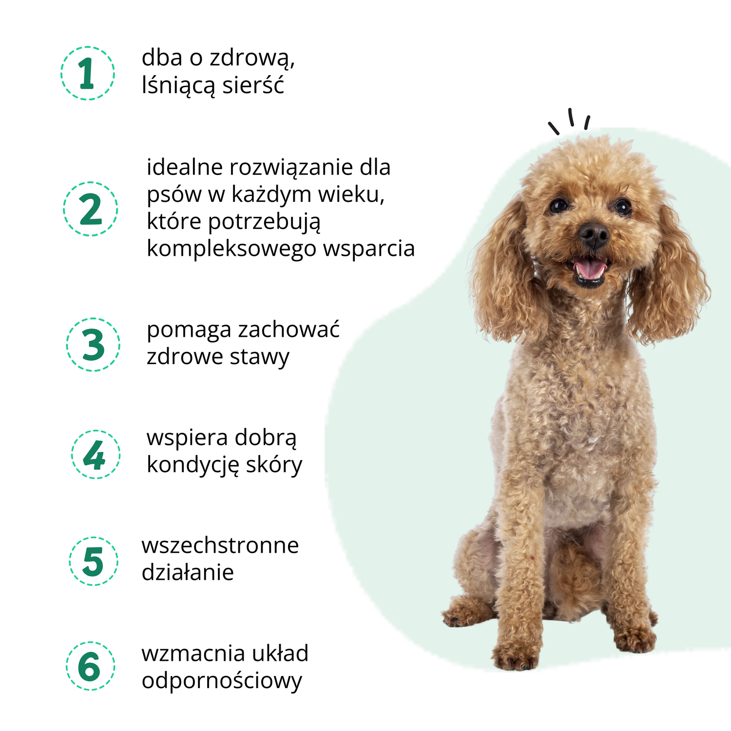 PetPaw 10 W 1 – suplementy dla psów