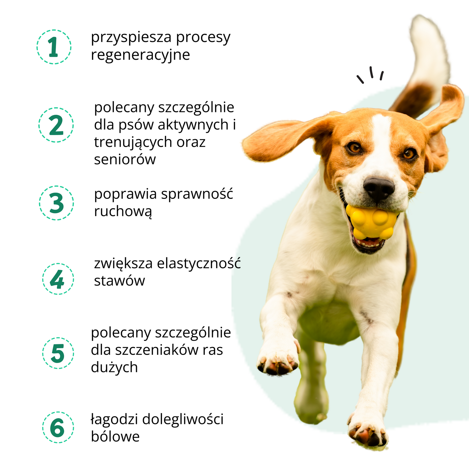 PetPaw STAWY I KOŚCI – suplementy dla psów