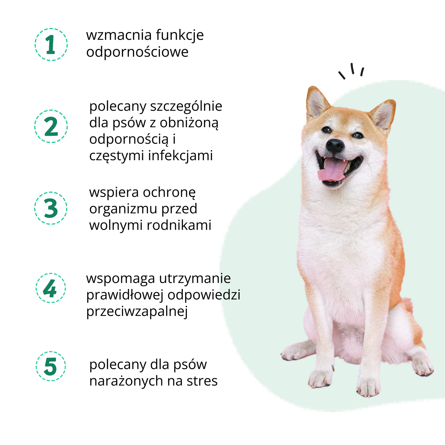 PetPaw ODPORNOŚĆ – suplementy dla psów